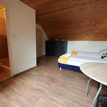 住宿加早餐酒店 Kamaras Klastrom House 3*