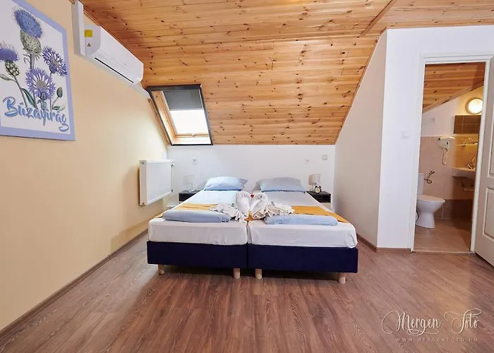 Bed and breakfast Kamarás Klastrom House Mogyoród