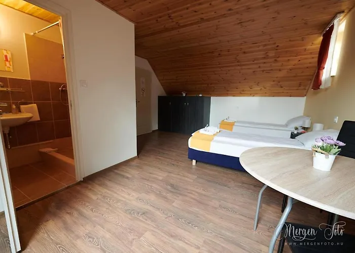 Bed and breakfast Kamarás Klastrom House 3*